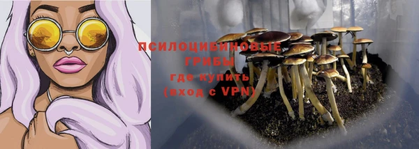 хмурый Алексин