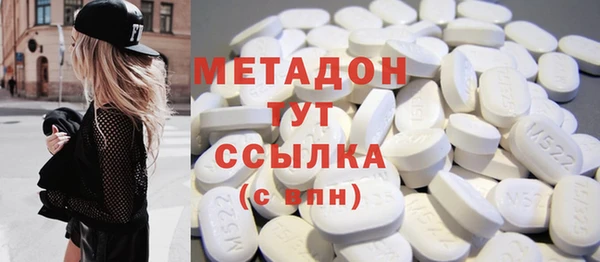 хмурый Алексин