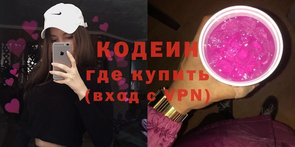 хмурый Алексин