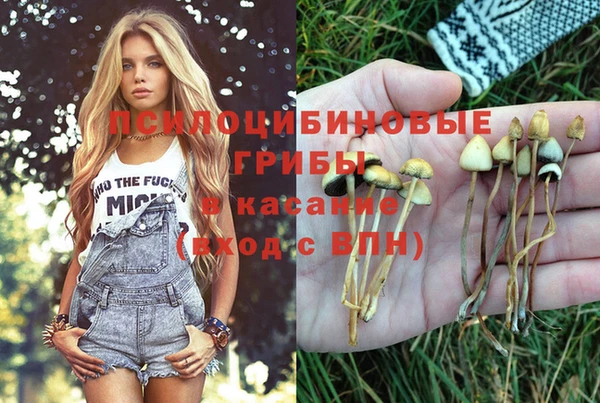 дживик Алексеевка