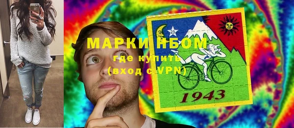 хмурый Алзамай